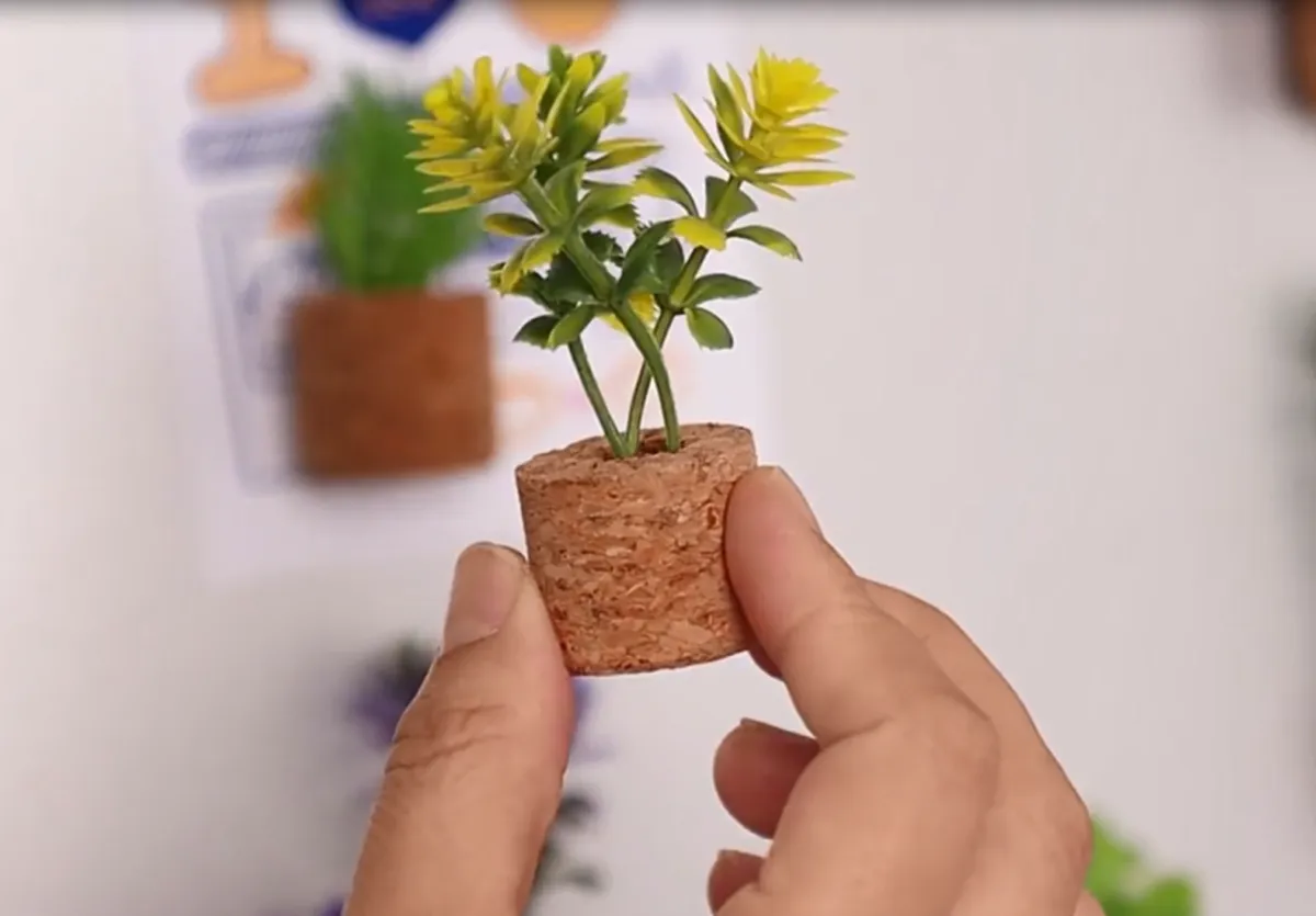 Mini plant cork magnets – assortment 2