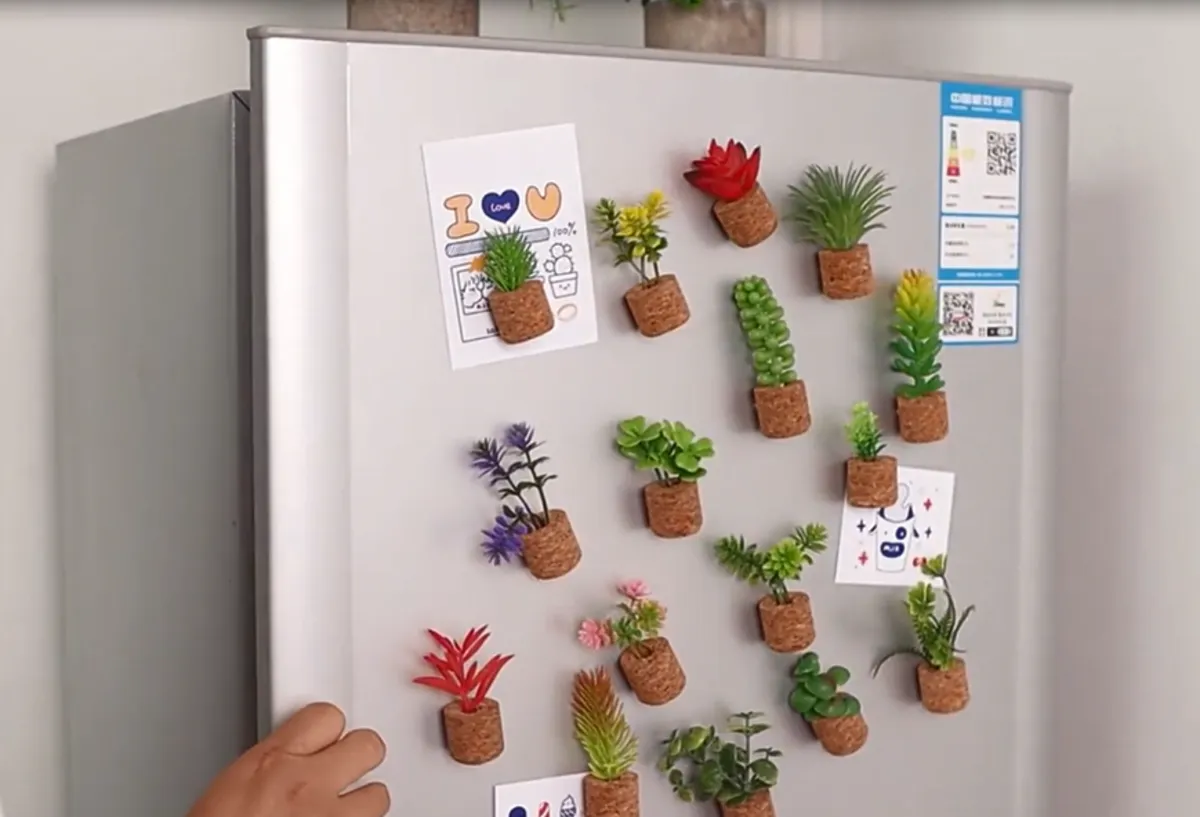 Magnets on fridge
